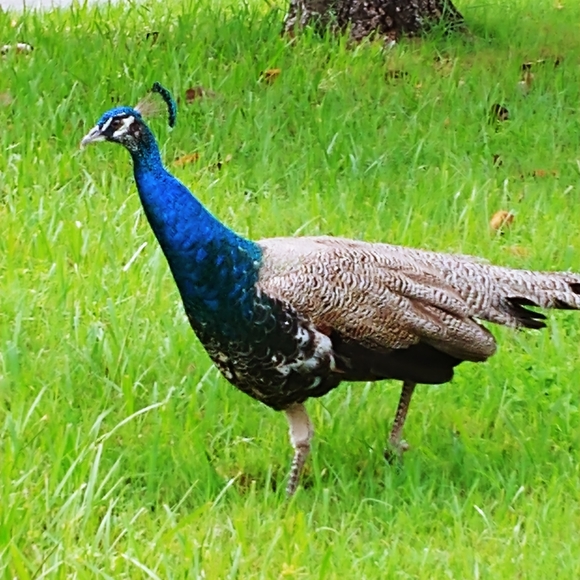 "Meet your Posher" - Picture 6 of 7